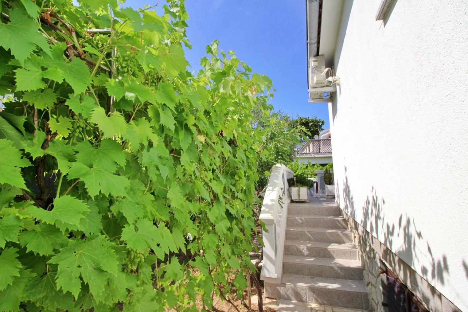 Apartments Zlatica سيلو المظهر الخارجي الصورة